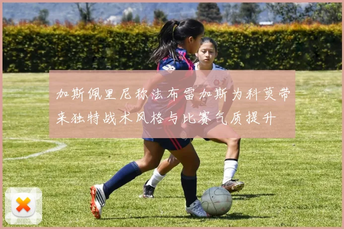 加斯佩里尼称法布雷加斯为科莫带来独特战术风格与比赛气质提升